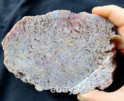 39.9 lbs 20 Lapidary Rough lbs, Wholesale Turkish Agate Slabs, Large Agate Stone