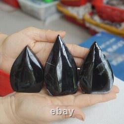 3LB 10Pcs Natural Black Carnelian Agate Crystal Point Flame Palm Stone Healing