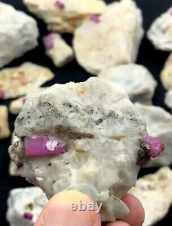 4500 Gram. Ruby Crystals Specimen lot from Hunza Valley Pakistan (22 Pcs)