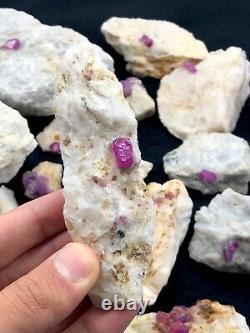 4500 Gram. Ruby Crystals Specimen lot from Hunza Valley Pakistan (22 Pcs)