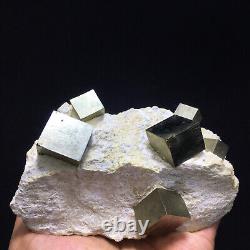 458g Wholesale Beautiful Golden Iron Pyrite Cubic Crystal gem Mineral Specimen