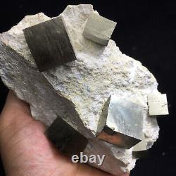 458g Wholesale Beautiful Golden Iron Pyrite Cubic Crystal gem Mineral Specimen