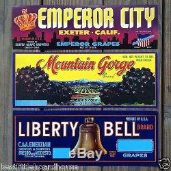 500 WHOLESALE Vintage Lot CITRUS CRATE Box MILLION $ Labels 5 Sets of 100 Labels