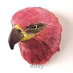 50 Different Collectable Furlike Animal-bird Magnets! Wholesale Closeout Lots