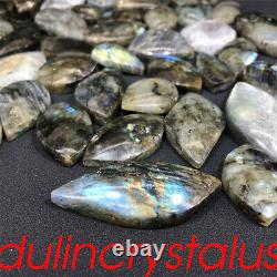 50pcs Wholesale Natural Labradorite Leaves Quartz crystal Gem Spectrolite 620g+