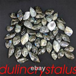 50pcs Wholesale Natural Labradorite Leaves Quartz crystal Gem Spectrolite 620g+