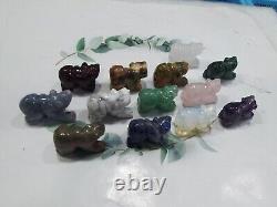 50pcs Wholesale Natural mixed Quartz carved crystal animal skull reiki random