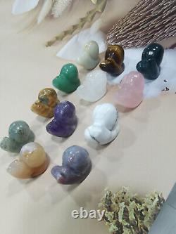 50pcs Wholesale Natural mixed quartz Carved crystal Snail skull reiki healing