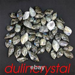 50x Wholesale Natural Labradorite Leaves Quartz crystal Gem Spectrolite 620g+
