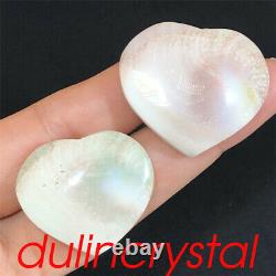 50x Wholesale Natural Sun shells Heart Skull Quartz Crystal Skull Reiki 780g+