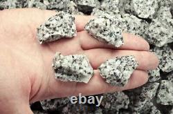 55 lbs Dalmatian Jasper Rough Stones Wholesale Lot- Crystal Mineral Rock (Ind)