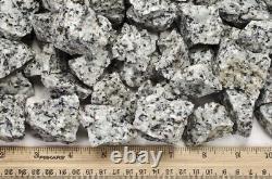 55 lbs Dalmatian Jasper Rough Stones Wholesale Lot- Crystal Mineral Rock (Ind)