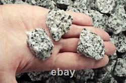 55 lbs Dalmatian Jasper Rough Stones Wholesale Lot- Crystal Mineral Rock (Ind)