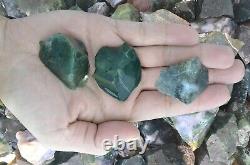55 lbs Green Moss Agate Rough Stones Wholesale Lot Crystal Mineral Rock
