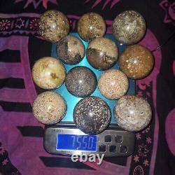 7.55 Lb 12 Pcs 2-3 In Fish Egg Agate Crystal Quartz Spheres Bulk Wholesale