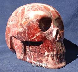 8 Large Dolomite skull 7.320 kg Wholesale Crystal skull Brazil