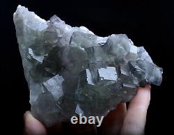 8pcs Natural Wholesale Complete Green Fluorite Mineral Specimen /China
