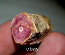 9 pcs LOT Rhodochrosite Stalactites tube from Argentina Wholesale Bulk