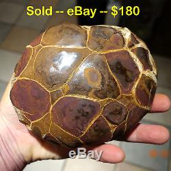Approximately 180 Very Rare Texas Septarian Nodules - Unpolished, Untouched