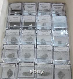 Aris Quarries 40 Perky Specimens Collection Wholesale