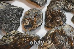 Astrophyllites- HUGE 14 Large Pc Flat Lot From Murmansk Russia Below Wholesale