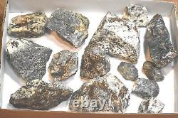 Astrophyllites- HUGE 14 Large Pc Flat Lot From Murmansk Russia Below Wholesale