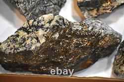 Astrophyllites- HUGE 14 Large Pc Flat Lot From Murmansk Russia Below Wholesale