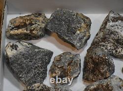 Astrophyllites- HUGE 14 Large Pc Flat Lot From Murmansk Russia Below Wholesale