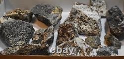 Astrophyllites- HUGE 14 Large Pc Flat Lot From Murmansk Russia Below Wholesale