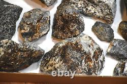 Astrophyllites- HUGE 14 Large Pc Flat Lot From Murmansk Russia Below Wholesale
