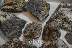 Astrophyllites- HUGE 14 Large Pc Flat Lot From Murmansk Russia Below Wholesale