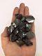 Biggest Elite Shungite Stone Wholesale Lot Russia 1 Lb / 453 Gr