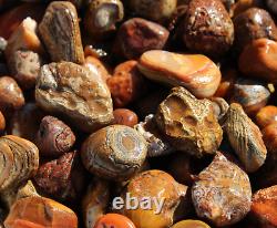 Bahia Agate Rough Rocks for Tumbling Bulk Wholesale 1LB options