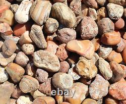 Bahia Agate Rough Rocks for Tumbling Bulk Wholesale 1LB options