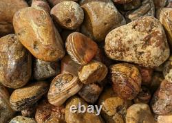 Bahia Agate Rough Rocks for Tumbling Bulk Wholesale 1LB options