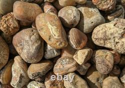 Bahia Agate Rough Rocks for Tumbling Bulk Wholesale 1LB options