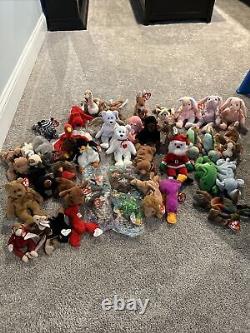 Beanie Babies- Whole Collection for Sale! The Rarest Beanie Babies