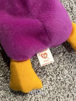 Beanie Babies- Whole Collection for Sale! The Rarest Beanie Babies