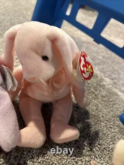 Beanie Babies- Whole Collection for Sale! The Rarest Beanie Babies