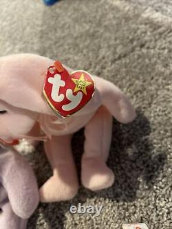 Beanie Babies- Whole Collection for Sale! The Rarest Beanie Babies