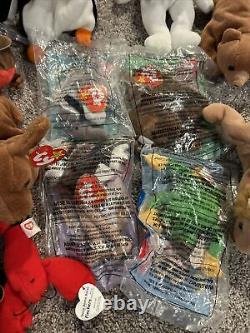 Beanie Babies- Whole Collection for Sale! The Rarest Beanie Babies