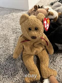 Beanie Babies- Whole Collection for Sale! The Rarest Beanie Babies