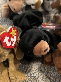 Beanie Babies- Whole Collection for Sale! The Rarest Beanie Babies