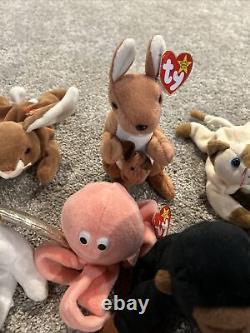 Beanie Babies- Whole Collection for Sale! The Rarest Beanie Babies