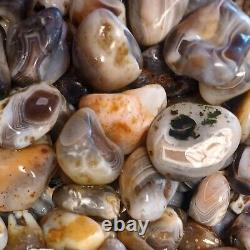 Botswana Agate rough 1-2 A+ pound lbs tumbling lapidary banding wholesale bulk