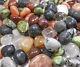 Bulk Wholesale Lot 12 Lb Tumbled Gemstone Mixed Crystal Mineral Stone Collection