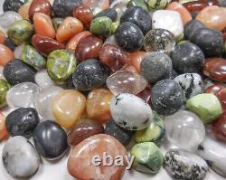 Bulk Wholesale Lot 12 lb Tumbled Gemstone Mixed Crystal Mineral Stone Collection