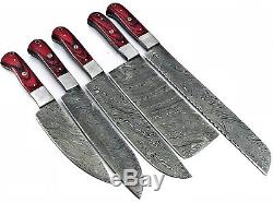 Chef Knife Hand Made Damascus Steel Set of 5 From jatala (A-10)