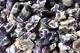 Chevron Amethyst Rough Rocks For Tumbling Bulk Wholesale 1lb Options