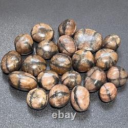 Chiastolite (Fairy Cross Stone) Tumbled (1 Kilo)(2.2 LBs) Bulk Wholesale Crystal